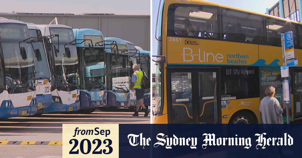 Video Wages of up to 100k on offer for future Sydney bus drivers